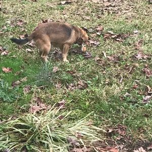 Meet your Posher, Latoya